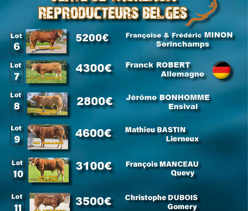 Résultats de la 2eme vente de Taureaux reproducteurs limousins belges