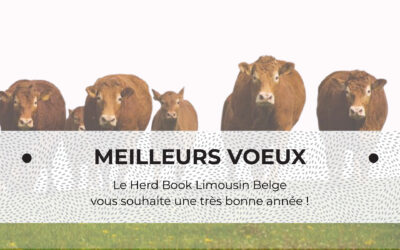 Bonne année 2024 : un regard en arrière et les voeux du Herd Book Limousin Belge