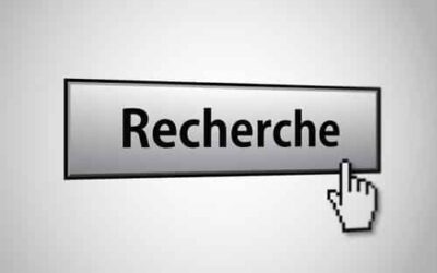 Recherche Taureau pour saillir