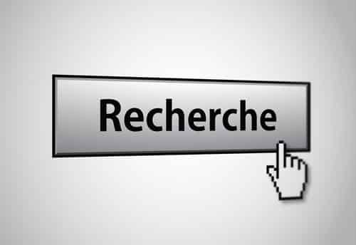 Recherche Taureau pour saillir