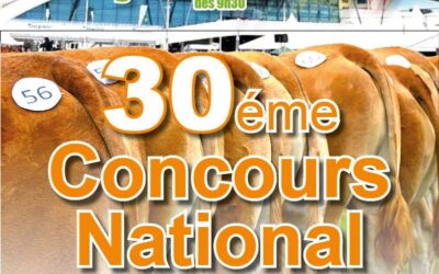 30. Nationaler Wettbewerb Limousin – Messe Libramont 2025