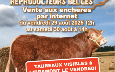 6ème Vente de taureaux reproducteurs belges
