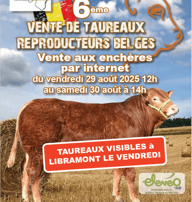 6ème Vente de taureaux reproducteurs belges