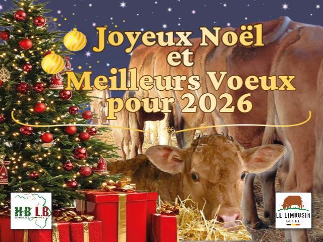 Meilleurs vœux pour 2026